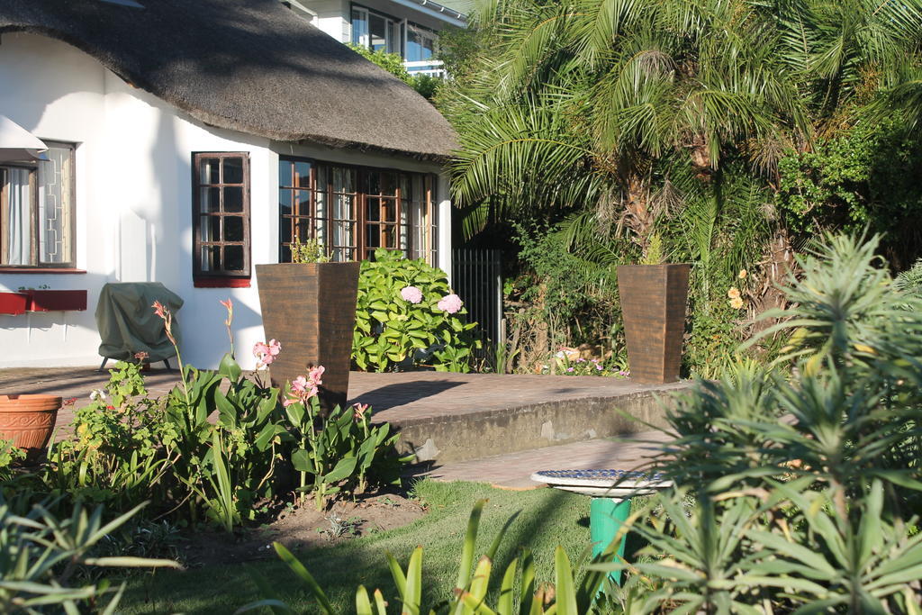 Bed and Breakfast The Idle Monkey à Knysna Extérieur photo